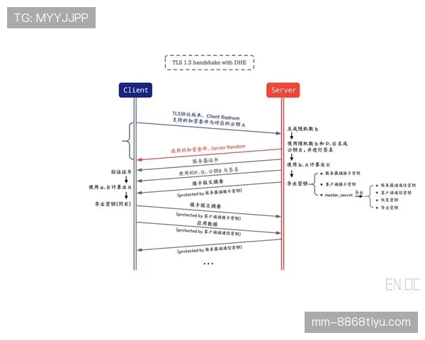 禁赛规则的判定标准与执行流程详解