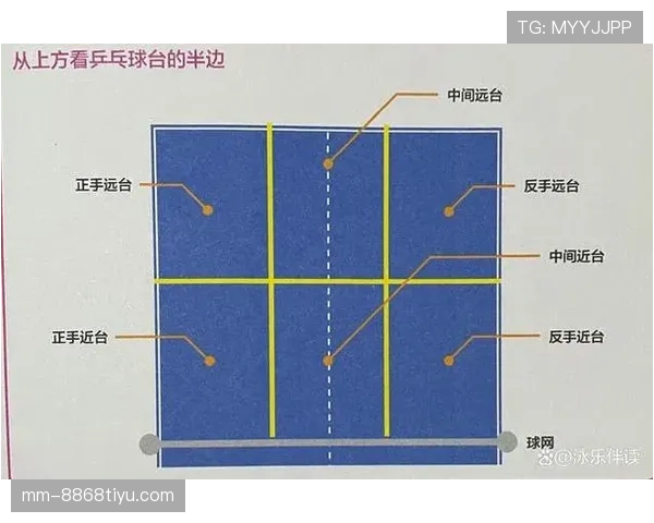 发球五秒违例规则解析：何时开始计时及如何避免